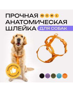 Шлейка для собак анатомическая оранжевая полиэстер размер L Pro comfort