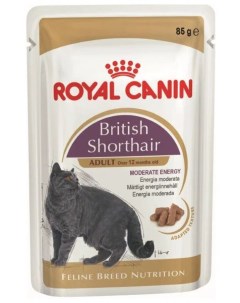 Влажный корм для кошек RC British Shorthair Adult мясо для британских 85г Royal canin