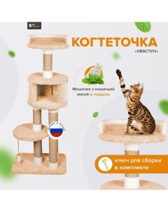 Комплекс для кошек Хвастун с домиком персик картон ковролин 153 см Комфорт хвостиков