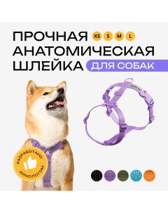 Шлейка для собак анатомическая фиолетовая полиэстер размер S Pro comfort