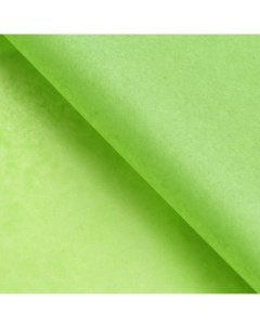 Бумага упаковочная тишью зеленый 50 см х 66 см 10 шт Nobrand