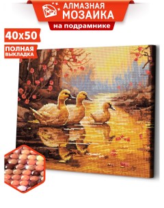 Алмазная мозаика на подрамнике Утята у пруда ARM205 40x50 Art&relax