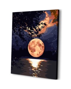 Картина по номерам на холсте ART and Relax Лунная ночь 40x50 Art&relax