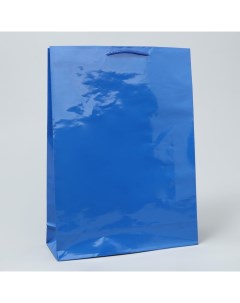 Пакет ламинированный Blue L 28 х 38 х 9 см Доступные радости