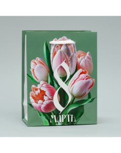 Пакет ламинированный Тюльпаны S 12 х 15 х 5 5 см Доступные радости