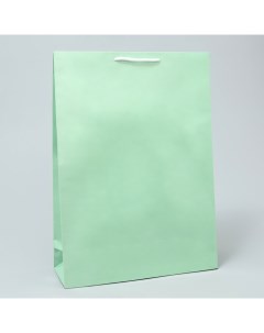 Пакет ламинированный Green L 28 х 38 х 9 см Доступные радости