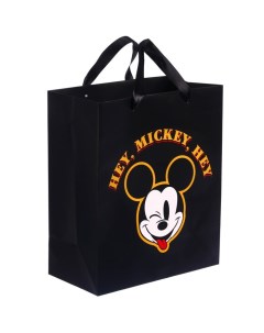 Пакет ламинированный вертикальный 23 х 27 х 11 см Hey Mickey Hey Микки Маус Disney