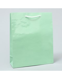 Пакет ламинированный Зелёный ML 21 х 25 х 8 см Доступные радости