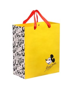 Пакет ламинированный вертикальный 23 х 27 х 11 см Mickey mouse Микки Маус Disney