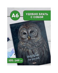 Скетчбук Sketchbook for Pocket Сова 48 7387 Myart