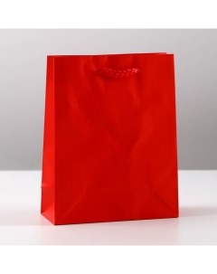 Пакет ламинированный Красный S 12 х 15 х 5 5 см Доступные радости
