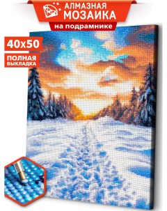 Алмазная мозаика на подрамнике Зимняя тропа ARM178 40x50 Art&relax