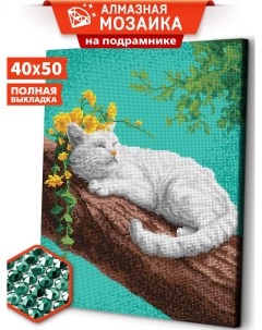 Алмазная мозаика на подрамнике Деревенский кот ARM284 40x50 Art&relax