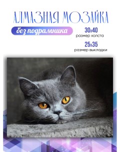 Алмазная мозаика Британский кот PY2685 холст без подрамника 30x40см Lublu art