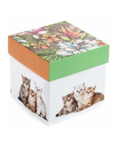 Коробка подарочная Котэ 12 х 12 см разноцветная Veld co