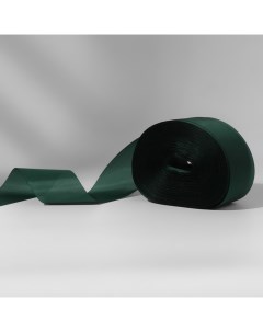 Лента капроновая 50 мм 100 5 м цвет тёмно зелёный Nobrand