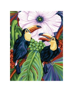 Картина по номерам на холсте Туканы 40 50 с акриловыми красками и кистями Три совы