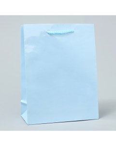 Пакет ламинированный Голубой MS 18 х 23 х 8 см Доступные радости