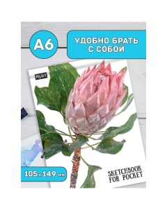 Скетчбук Sketchbook for Pocket Протея 48 7383 Myart