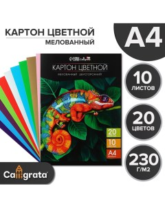Картон цветной двусторонний а4 10 листов 20 цветов top мелованный 230 г м2 в папке Calligrata