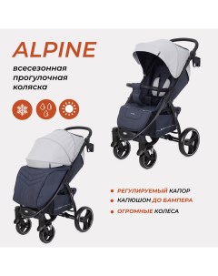 Коляска детская ALPINE RA450 Grey Rant basic