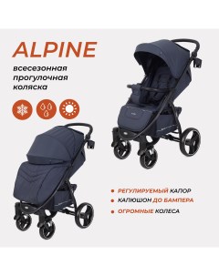 Коляска детская ALPINE RA450 Graphite Rant basic