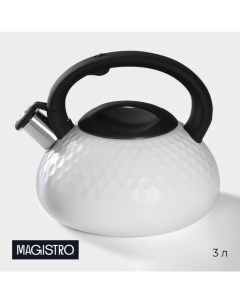 Чайник 24х22х18 см Magistro