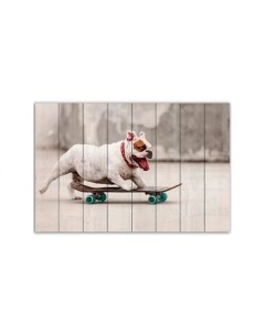 Картина Собака на скейте Дом корлеоне
