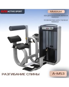 Разгибание спины AVM A M53 профессиональный силовой тренажер для зала Avm active sport
