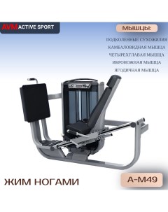 Жим ногами AVM A M49 профессиональный силовой тренажер для зала Avm active sport
