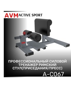 Римский стул приседания и пресс AVM A C067 Avm active sport