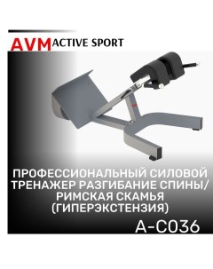 Гиперэкстензия разгибание спины римская скамья AVM A C036 Avm active sport