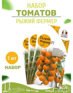 Семена томат Рыжий фермер F1 УТ 00004793 3 уп Нетипичный фермер
