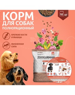 Сухой корм для собак Zoogurman Active Life для малых и средних пород телятина 10 кг Зоогурман
