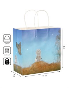 Пакет крафтовый подарочный 22х22х11 см ежик в тумане Союзмультфильм