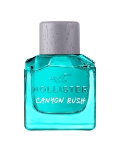 Canyon Rush For Him Hollister