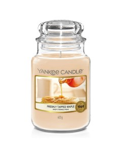 Свеча большая в стеклянной банке Свежий кленовый сироп Yankee candle