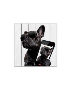Картина Собака с телефоном Дом корлеоне