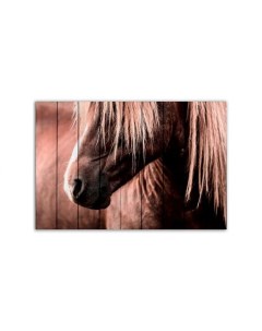Картина Скандинавская лошадь Дом корлеоне
