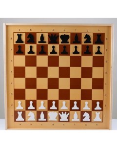 Шахматы и шашки демонстрационные 03903 Десятое королевство