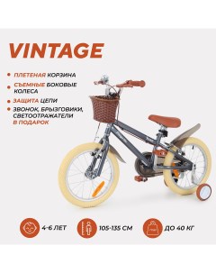 Велосипед двухколесный детский Vintage серый Rant
