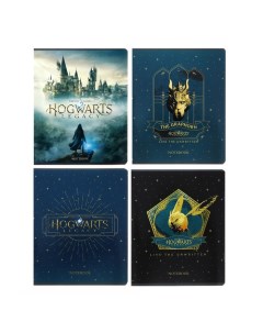 Тетрадь 48 листов клетка Hogwarts Legacy Гарри Поттер обложка мелованный картон Hatber