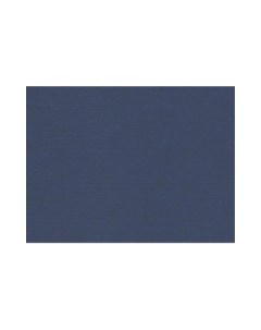 Бумага для пастели Палаццо 50x70 см 160 г темно синий Лилия холдинг