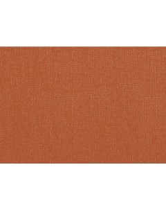 Бумага для пастели Палаццо 21x29 7 см 160 г терракотовый Лилия холдинг