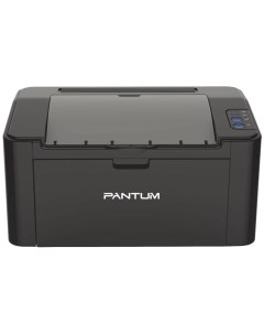 Лазерный принтер P2207 Black Pantum