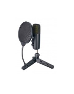 Микрофон BM 501 черный Foix