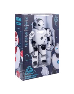 Робот Toys Зет Альфа на радиоуправлении Zhorya
