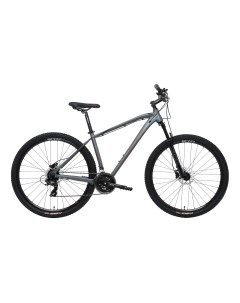 Велосипед Raven 1 0 HD 29 2024 Серый 18 M Welt
