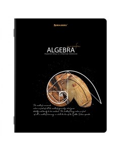 Тетрадь предметная Сияние Знаний Алгебра А5 48л 10 шт Brauberg