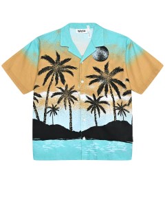 Рубашка с принтом пальмы Molo